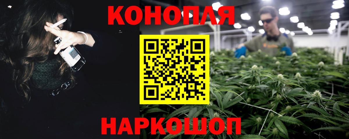 Коряжма  Марихуана план  Бошки марихуана Amnesia  Вход с VPN  Шишки марихуана сатива 